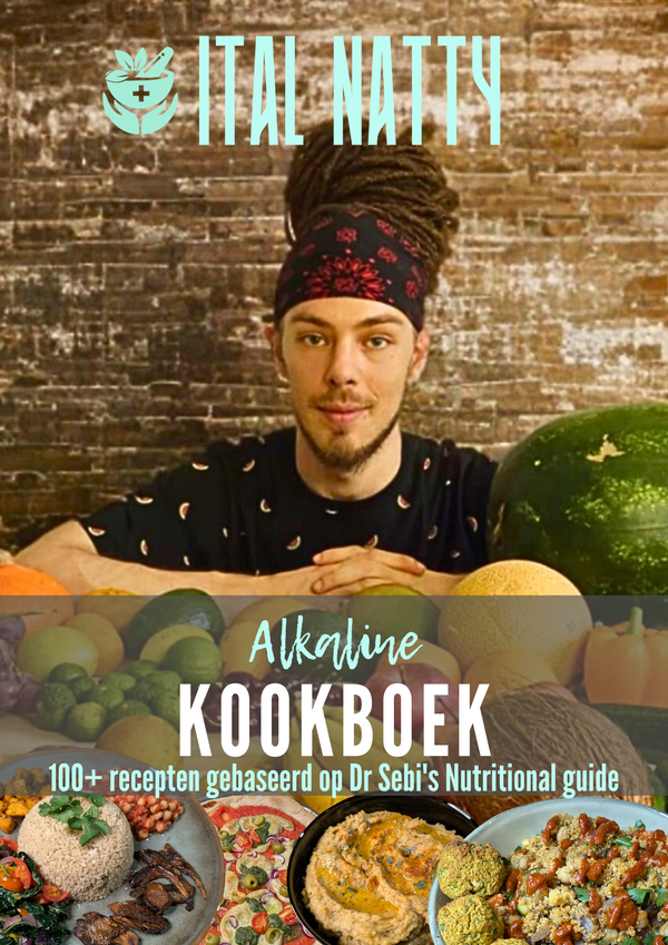 Alkaline Kookboek (1e editie)