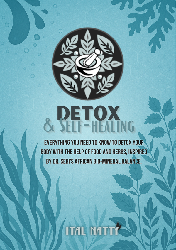 Detox & Self-Healing (English e-book)