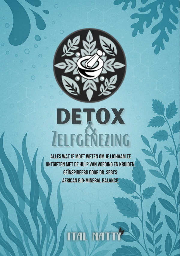 Detox & Zelfgenezing (e-book)